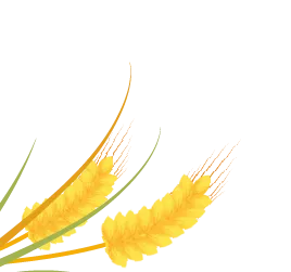 44.png