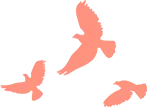 888.png 888.png